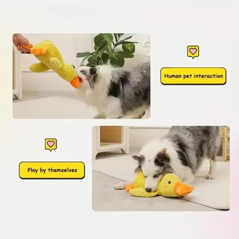 SnuggleDuck™ Dog Toy 🐶🦆
