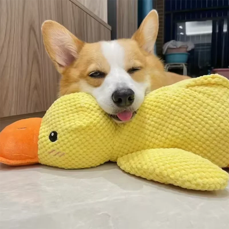 SnuggleDuck™ Dog Toy 🐶🦆