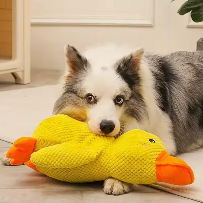 SnuggleDuck™ Dog Toy 🐶🦆