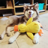 SnuggleDuck™ Dog Toy 🐶🦆