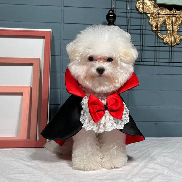 Vampire Cape for Dogs